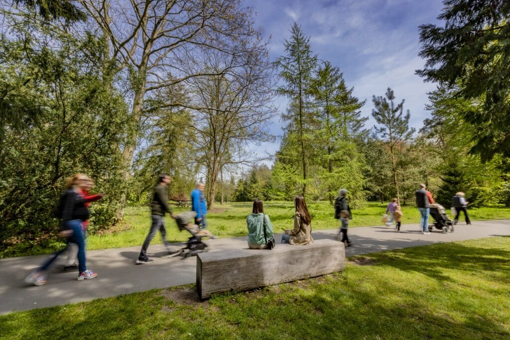Wijk Berg en Bos