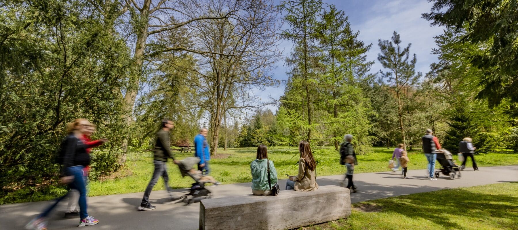 Wijk Berg en Bos