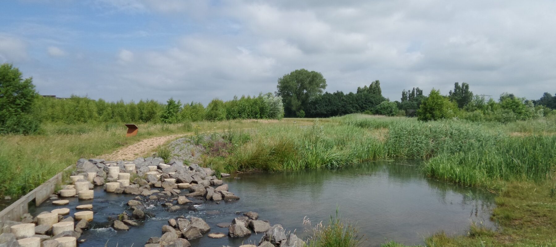 Zuidbroek